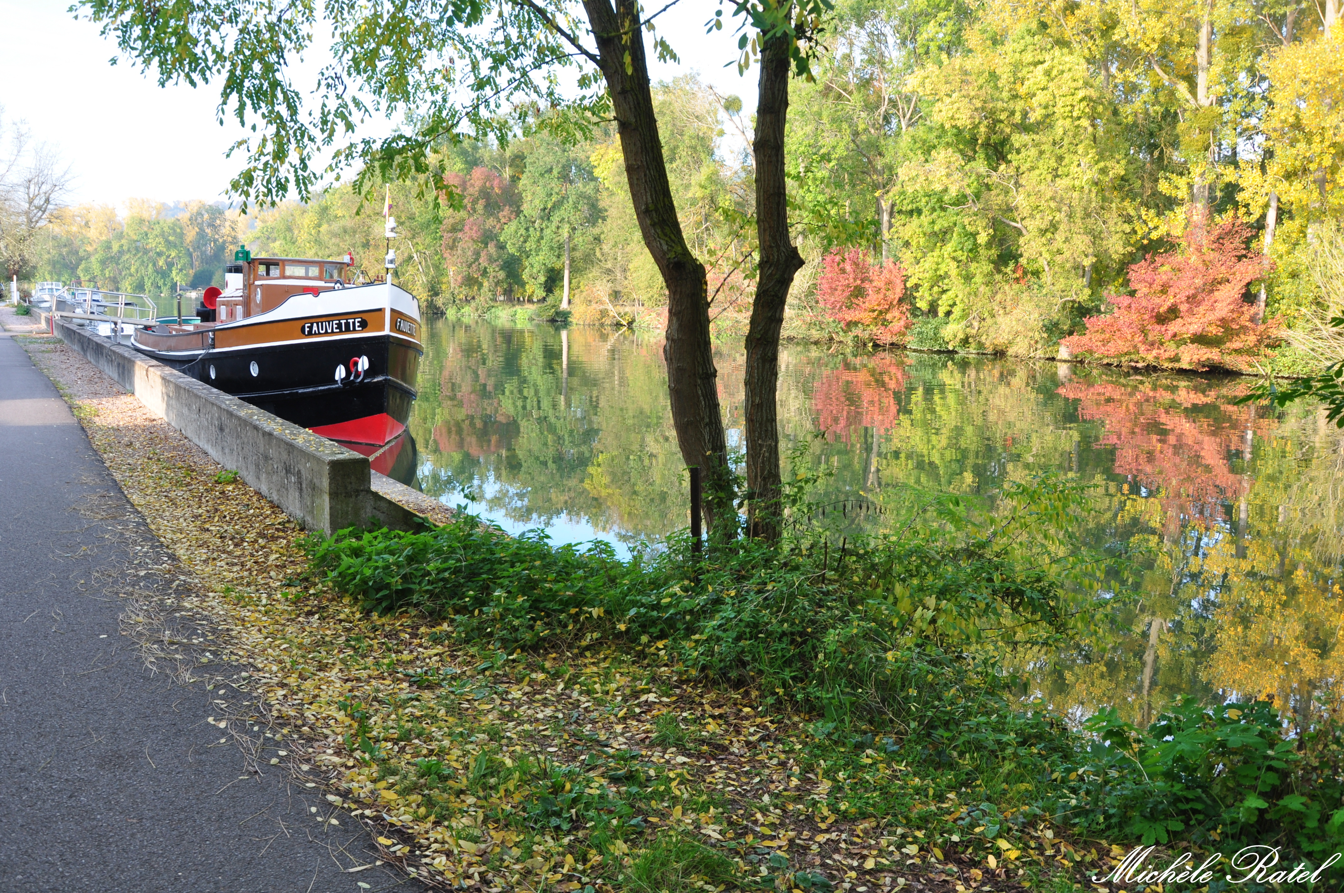Bord de Seine Automne