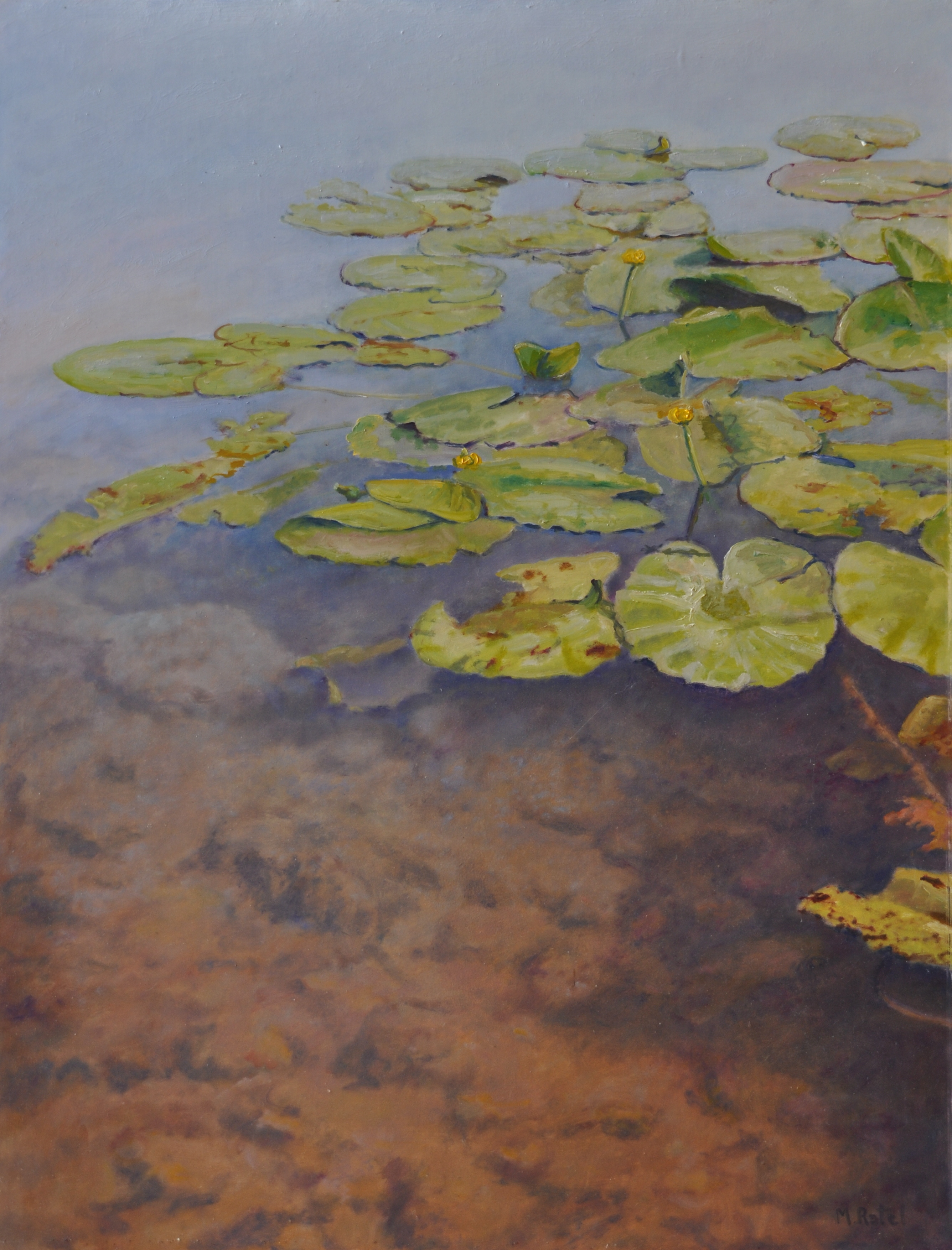 Transparence de l'eau